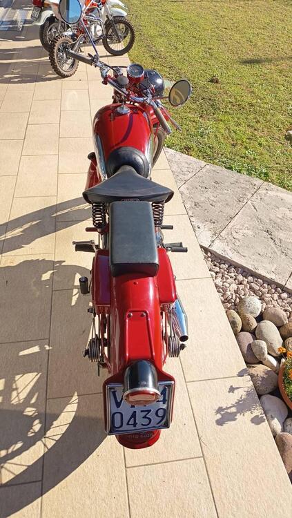Moto Guzzi Airone 250 sport (2)