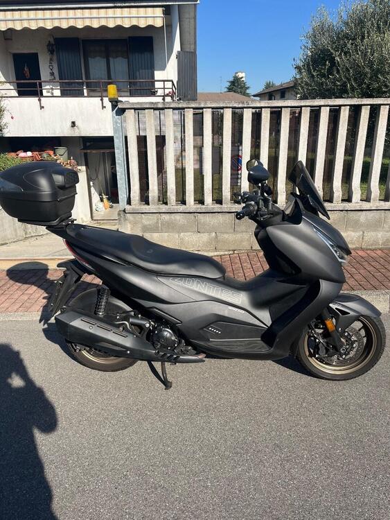 Zontes ZT350-D (2023 - 25) (5)