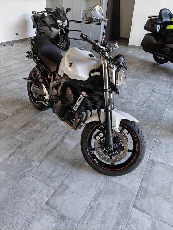 Yamaha FZ6 S2 (2007 - 11) (5)