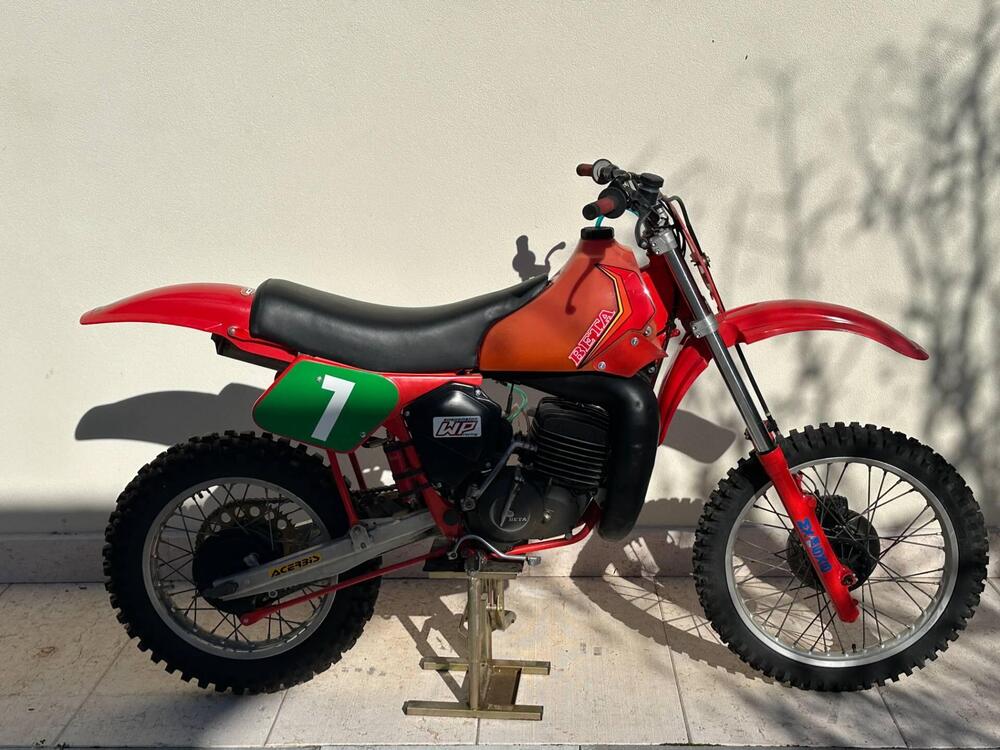 Betamotor cr 250 (5)