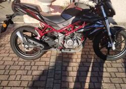 Benelli BN 125 (2021 - 25) usata