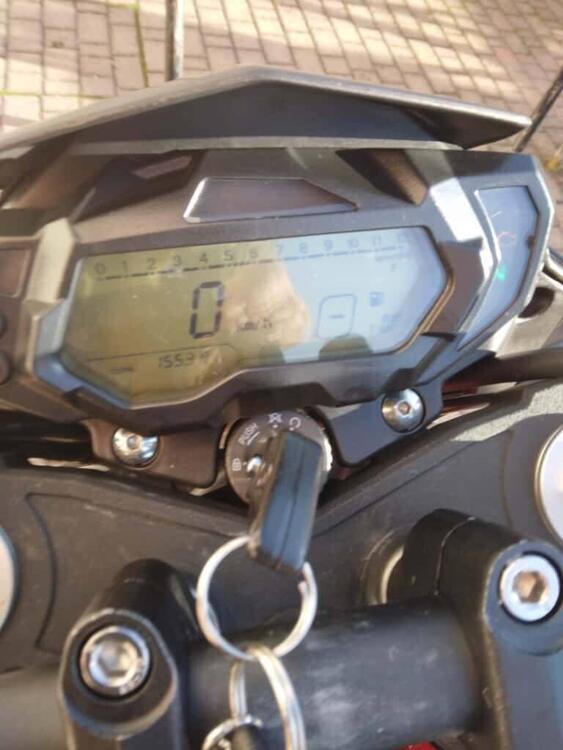 Benelli BN 125 (2021 - 25) (4)