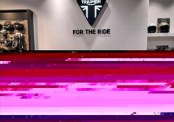 Triumph Bonneville T120 Gold Line Edition (2022 - 23) usata