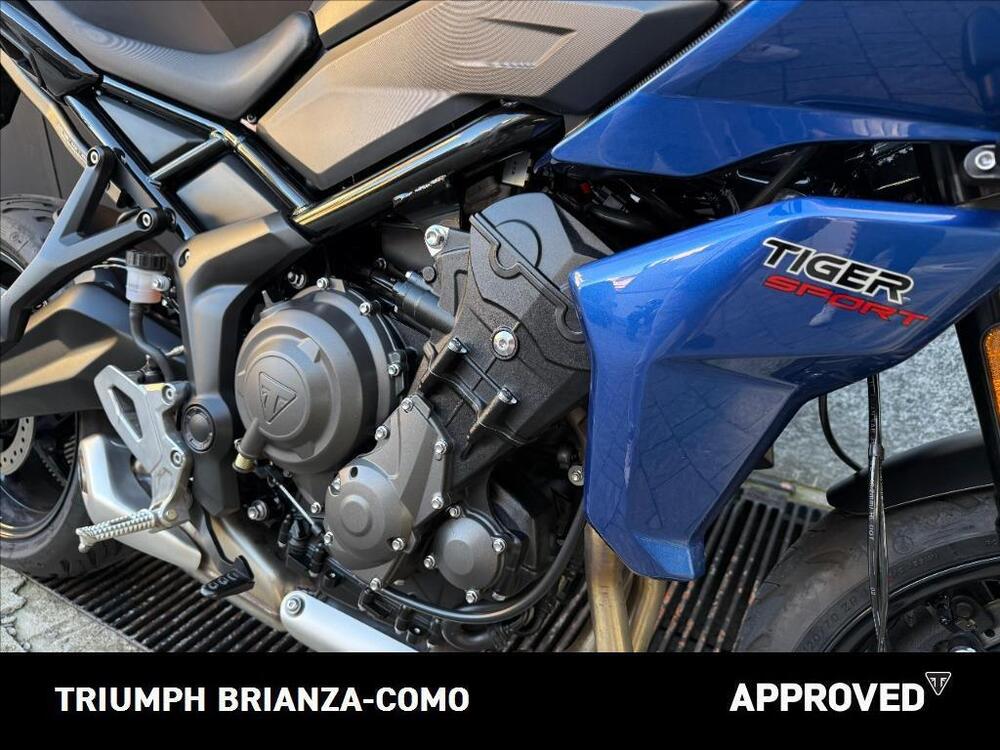 Triumph Tiger Sport 660 (2022 - 24) (5)