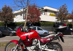 Honda Transalp XL 600V (1997 - 99) usata