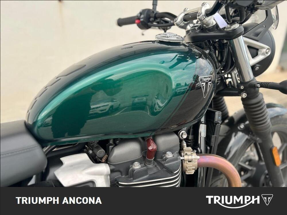 Triumph Speed Twin 900 Stealth Edition (2024) (4)