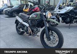 Ducati Scrambler 800 Urban Enduro (2015 - 16) usata