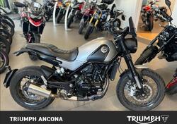Benelli Leoncino 500 Trail ABS (2017 - 20) usata