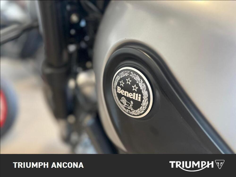 Benelli Leoncino 500 Trail ABS (2017 - 20) (3)