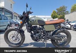 Vervemoto Tracker 250i (2019 - 24) usata