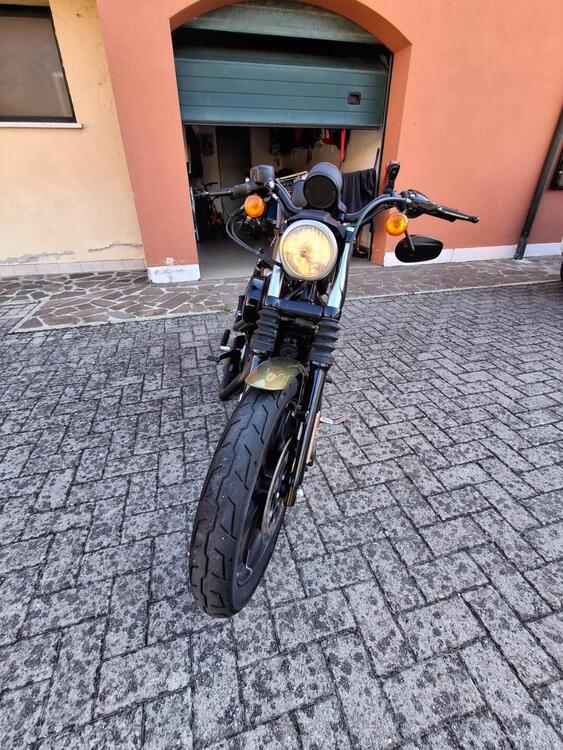 Harley-Davidson 883 Iron (2014 - 16) - XL 883N (2)