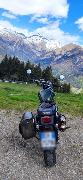 Triumph Street Scrambler 900 (2017 - 18) (4)