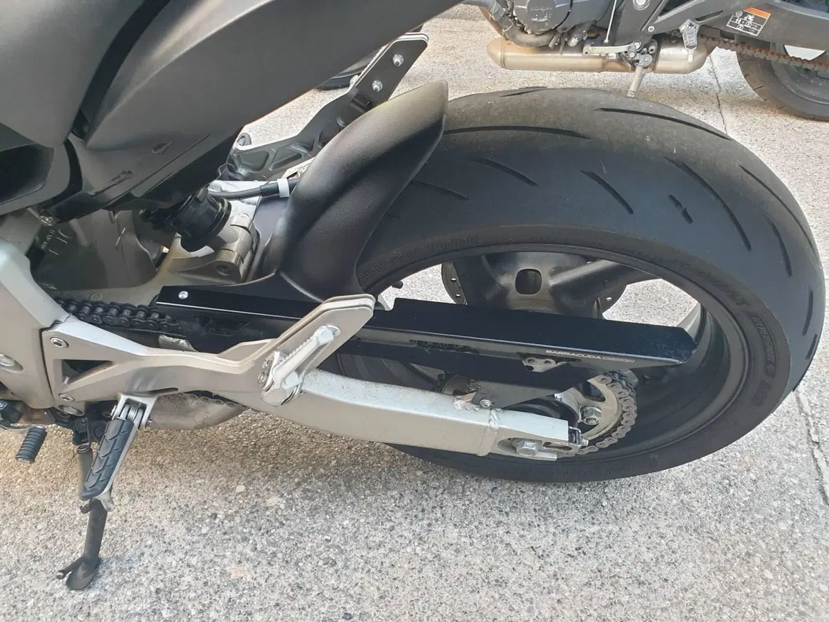 Honda Hornet 600 (2007 - 10) (2)