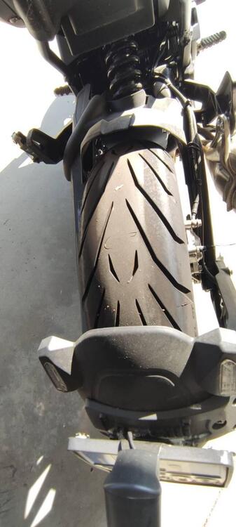 Benelli 502 C (2021 - 25) (3)