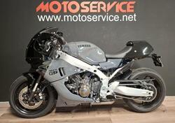 Yamaha XSR 900 GP (2024 - 26) usata