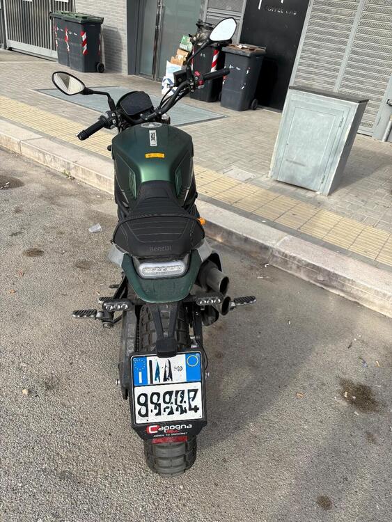 Benelli Leoncino 800 Trail (2022 - 25) (4)