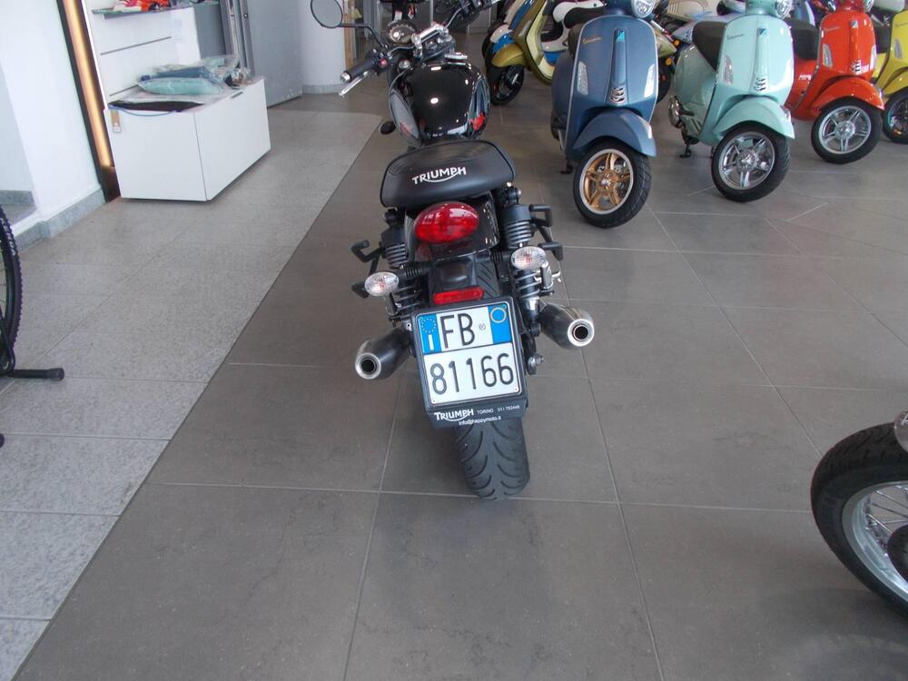 Triumph Speed Twin 900 (2023 - 24) (4)