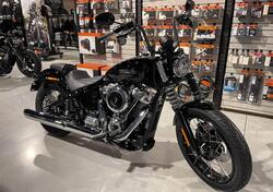 Harley-Davidson Street Bob 117 (2025) nuova