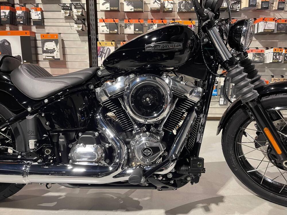 Harley-Davidson Street Bob 117 (2025) (4)