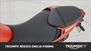 Triumph Street Triple R (2009 - 12) (13)