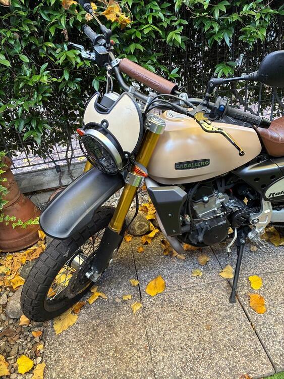 Fantic Motor Caballero 500 Rally (2021 - 23) (5)