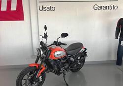 Ducati Scrambler 800 Icon (2017 - 20) usata