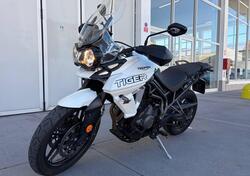 Triumph Tiger 800 XRx (2018 - 20) usata