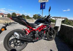 Benelli BN 125 (2021 - 25) usata