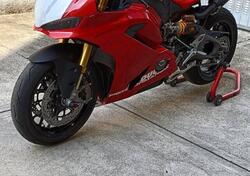 Ducati Panigale V2 S (2025) usata