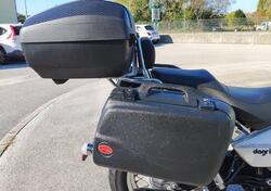 Moto Guzzi Nevada 750 Classic (2008 - 15) usata