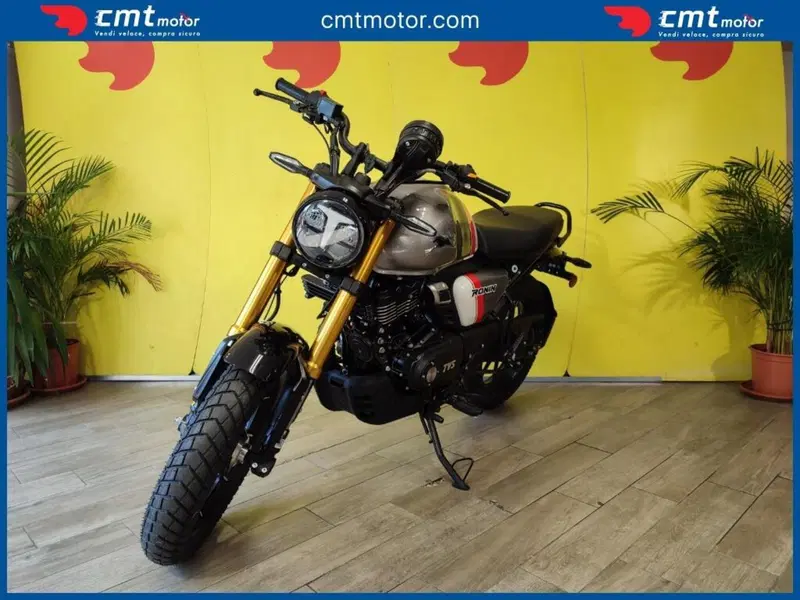 TVS Motor Ronin 250 (2024 - 26) (2)