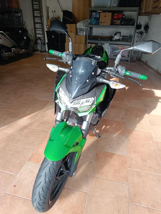Kawasaki Z 400 (2019 - 20) (2)