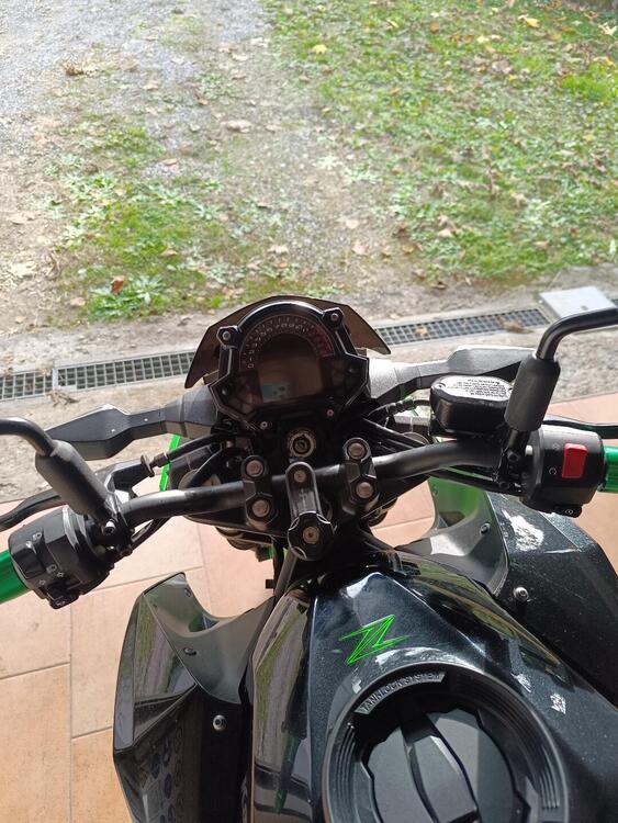Kawasaki Z 400 (2019 - 20) (5)