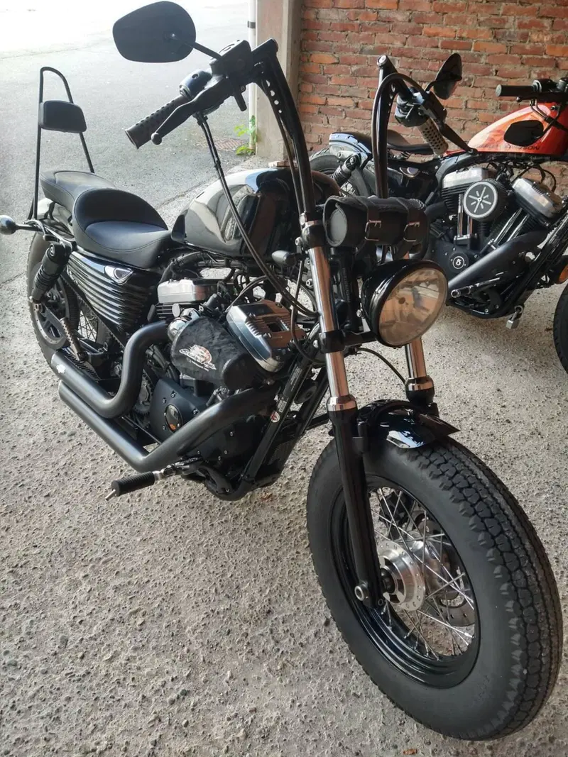 Harley-Davidson 1200 Forty-Eight (2010 - 15) (2)