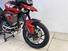 Triumph Tiger 900 GT Pro (2020 - 23) (13)