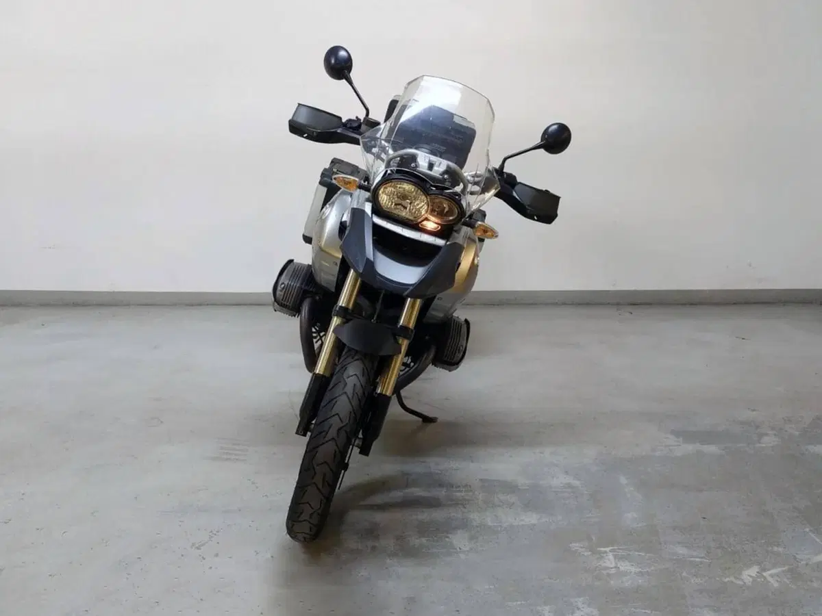 Bmw R 1200 GS (2008 - 09) (2)