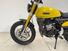 Fantic Motor Caballero 500 Scrambler (2024) (13)
