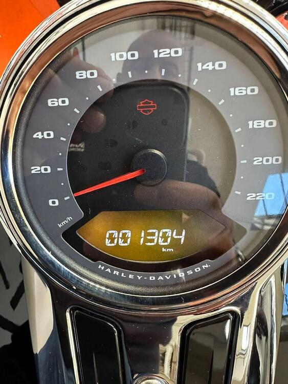 Harley-Davidson Fat Boy 114 (2021 - 24) (4)