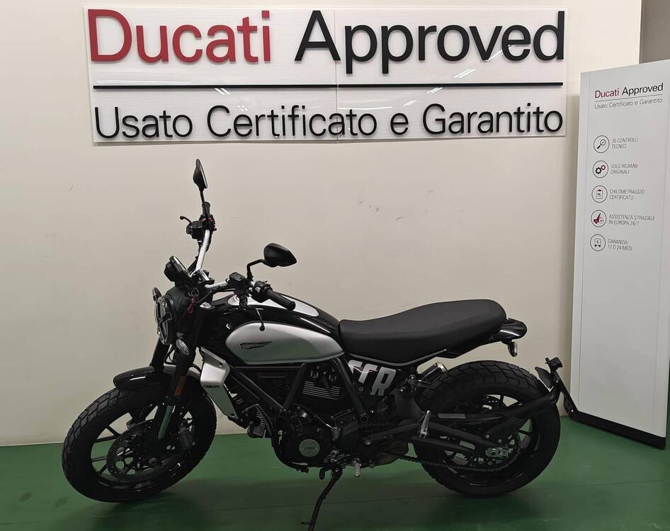 Ducati Scrambler 800 Icon (2023 - 25) (4)