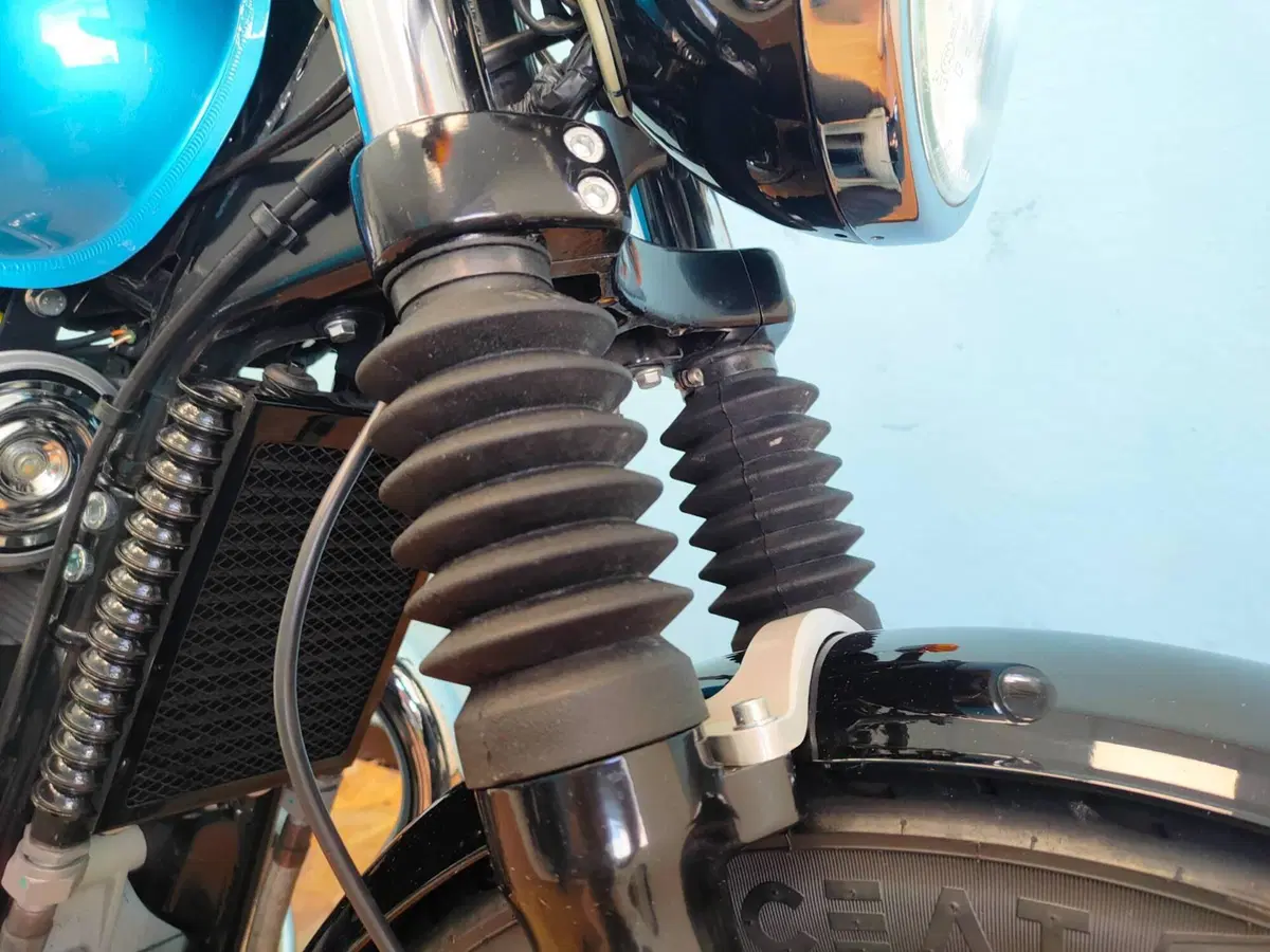 Royal Enfield Interceptor 650 (2021 - 26) (13)