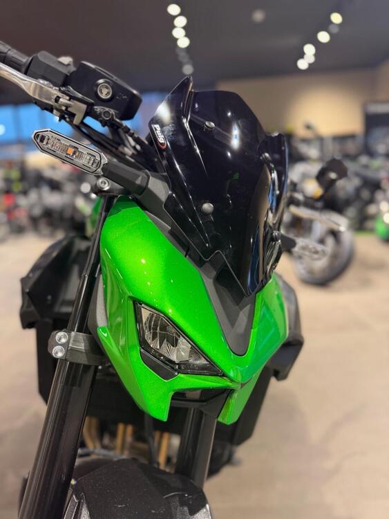 Kawasaki Z 900 (2025 - 26) (2)