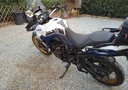 Suzuki V-Strom 800DE (2023 - 24) usata