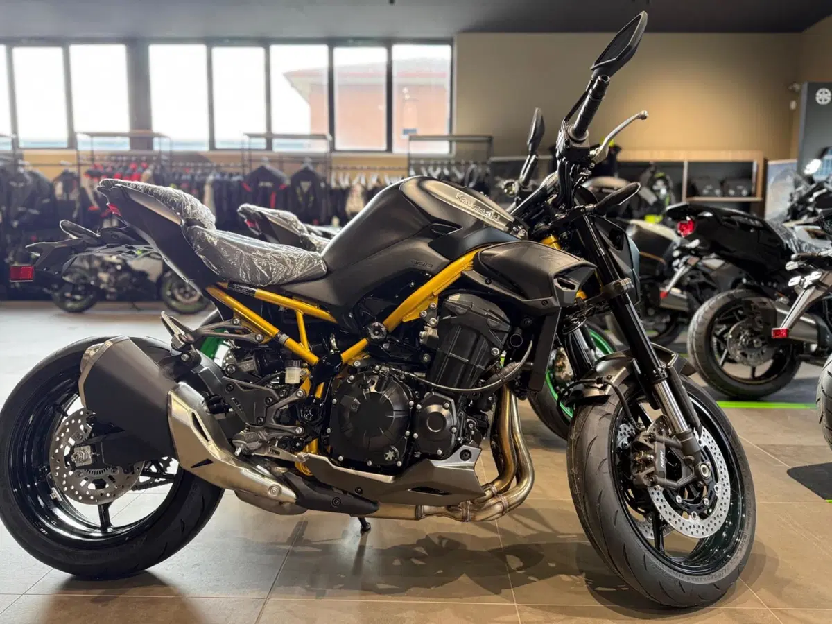 Kawasaki Z 900 (2025 - 26)