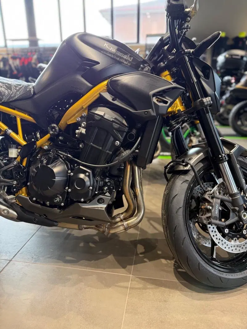 Kawasaki Z 900 (2025 - 26) (4)