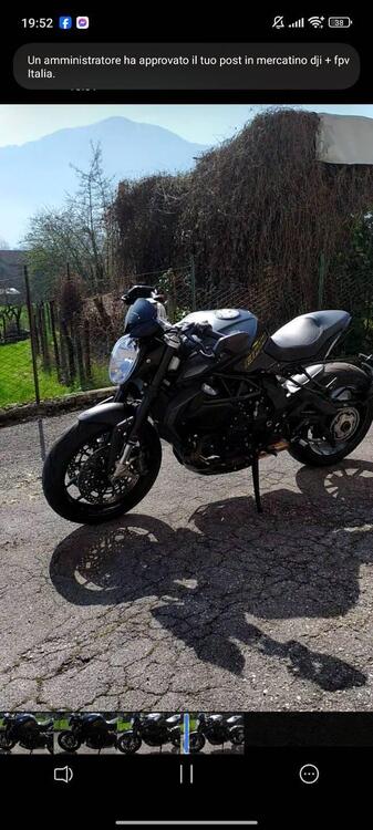 MV Agusta Dragster 800 (2014 - 19) (5)