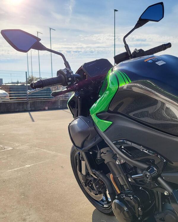 Kawasaki Z 900 (2025 - 26) (4)