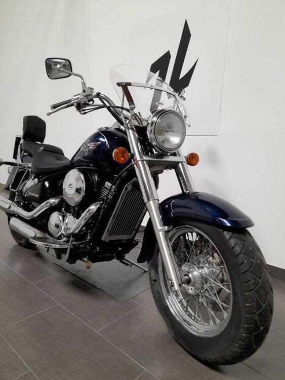 Kawasaki VN 800 Classic (2001 - 06) (5)