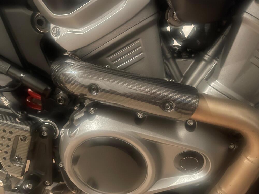 Harley-Davidson Pan America 1250 Special (2020 - 25) (4)