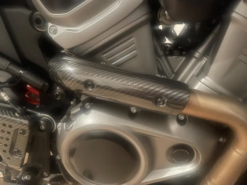 Harley-Davidson Pan America 1250 Special (2020 - 25) (4)