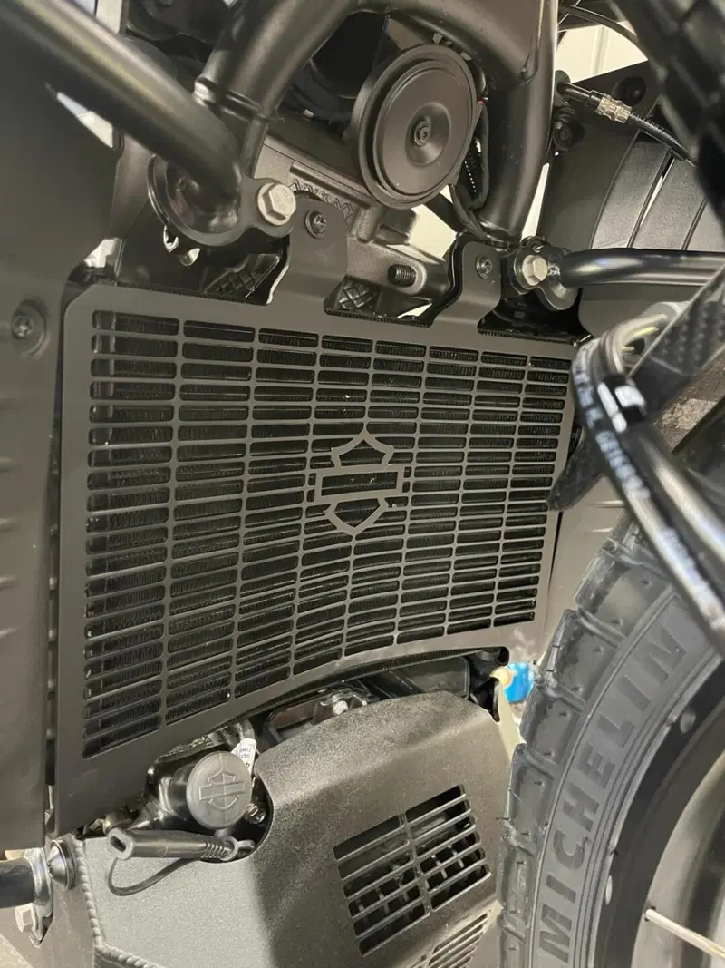 Harley-Davidson Pan America 1250 Special (2020 - 25) (15)
